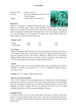 LATHYRUS Botanical Name - Lathyrus sativus L. Synonym