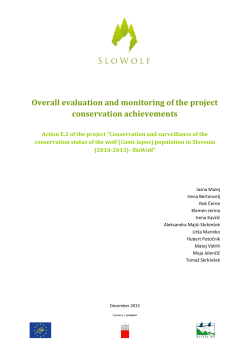 Overall evaluation and monitoring of the project