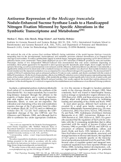 Antisense Repression of the Medicago truncatula