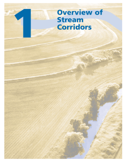 Chapter 1: Overview of Stream Corridors