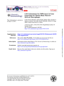 Derived Macrophages &minus; Expression in Chicken Bone Marrow Cell
