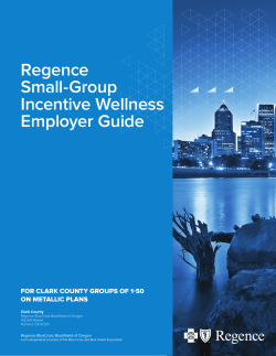Guide - incentive wellness (small group) 2016 (Clark