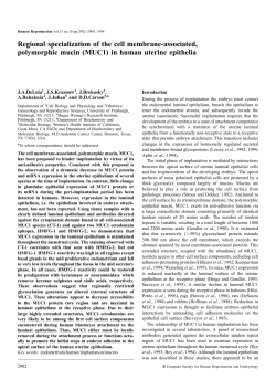 Regional specialization of the cell membrane