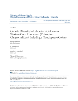 Genetic Diversity in Laboratory Colonies of Western Corn Rootworm