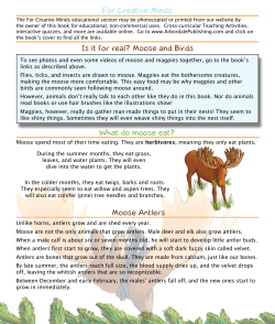 For Creative Minds Is it for real? Moose and Birds What do moose