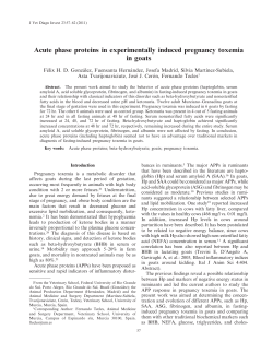 Acute phase proteins in experimentally induced pregnancy