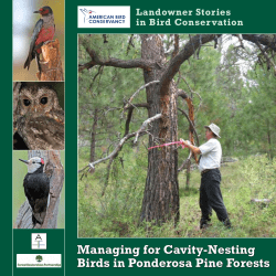 Managing for Cavity-Nesting Birds in Ponderosa Pine Forests