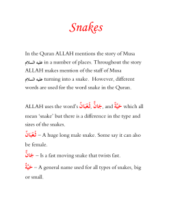 Snakes - QuranGems.com