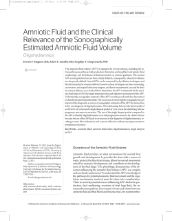 Amniotic Fluid and the Clinical Relevance of the Sonographically