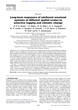 Long-term responses of rainforest erosional systems at different