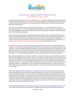 The Common Sense Guide to Potty Training