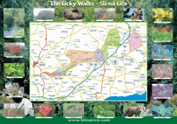 The Licky Walks - Sl&iacute; na Lice