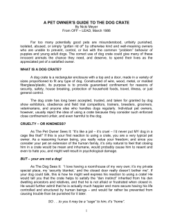 A PET OWNER`S GUIDE TO THE DOG CRATE