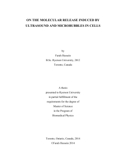 on the molecular release induced by ultrasound and microbubbles