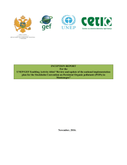 INCEPTION REPORT For the UNEP/GEF Enabling Activity