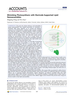 Mimicking Photosynthesis with Electrode