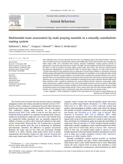 Multimodal mate assessment by male praying mantids in a sexually