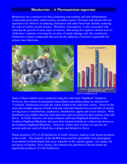 Blueberries &ndash; a phytonutrient superstar