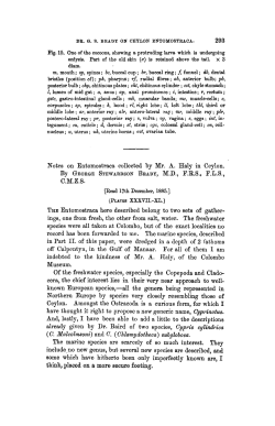 Notes on Entomostraca collected by Mr. A. Haly in Ceylon.