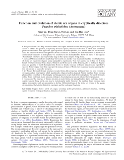 Function and evolution of sterile sex organs in