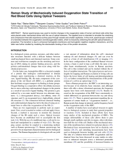 Biophysical Journal 96