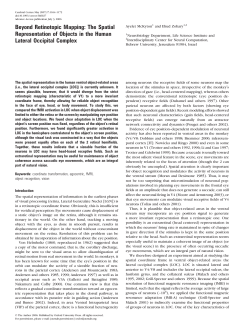 Beyond Retinotopic Mapping: The Spatial Representation of Objects