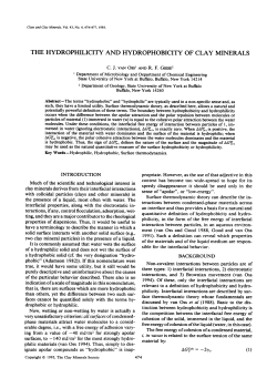 the hydrophilicity and hydrophobicity of clay minerals