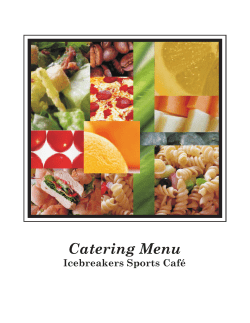 Icebreakers catering menu 201