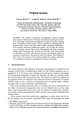Original Synteny