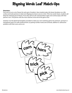 Rhyming Words Leaf Match-Ups