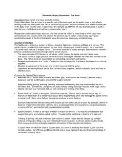 Secondary Injury Prevention: The Back Secondary Injury: when one