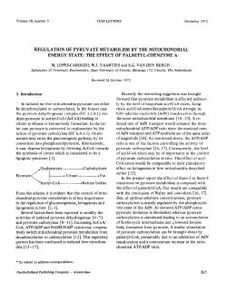 regulation of pyruvate metabolism by the mitochondrial energy state