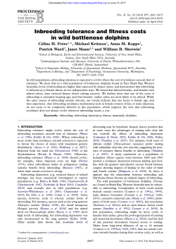 Inbreeding tolerance and fitness costs in wild bottlenose dolphins
