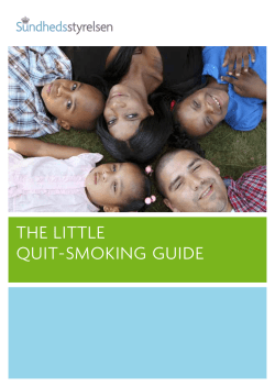 the little quit-smoking guide
