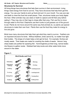 Structures for Survival All living things have structures that help them