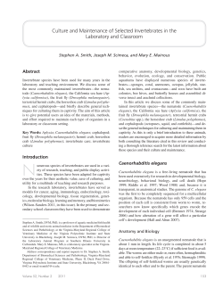 Culture and Maintenance of Selected