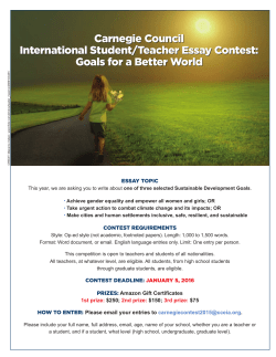 Essay Contest flyer - Carnegie Council for Ethics in International