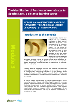 Flatworms and leeches