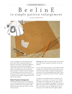 Radial Projection Enlargement