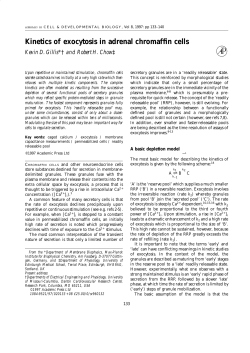 Kinetics of Exocytosis in Adrenal Chromaffin Cells