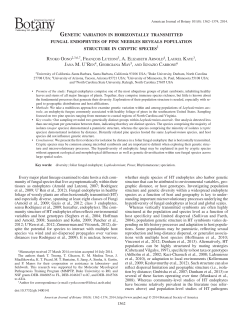 publication (PDF file)