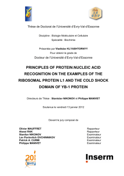 principles of protein:nucleic acid recognition on the examples of the