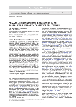 Primate-like Retinotectal Decussation in an echolocating megabat