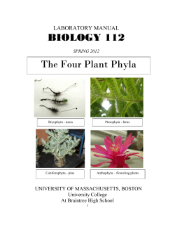 Biology 112 - UMass Boston
