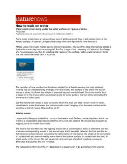 Nature News water snails