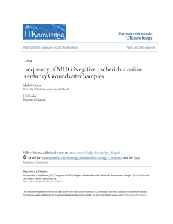 Frequency of MUG Negative Escherichia coli in