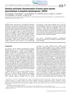 Structure and kinetic characterization of human sperm