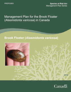 Management Plan for the Brook Floater (Alasmidonta varicosa) in
