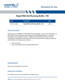 Directions for Use Rapid RNA Gel Running Buffer, 10X