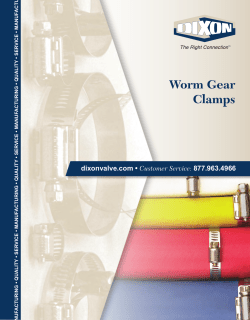 Worm Gear Clamps